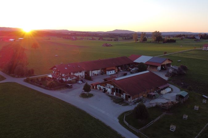 Marxhof bei Sonnenuntergang